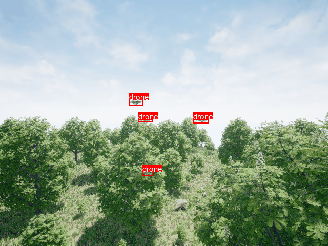 YOLO Detection Example